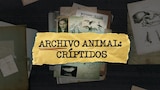 Archivo animal: críptidos
