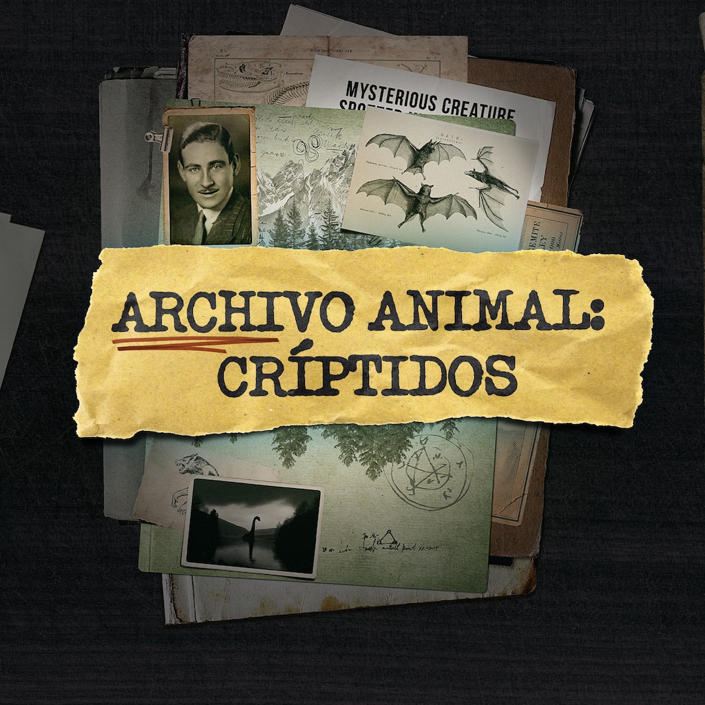Archivo animal: críptidos