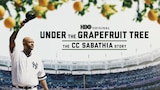 Under The Grapefruit Tree: The CC Sabathia Story