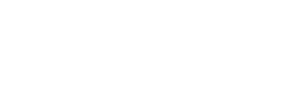 瑞克和莫蒂：日本动画