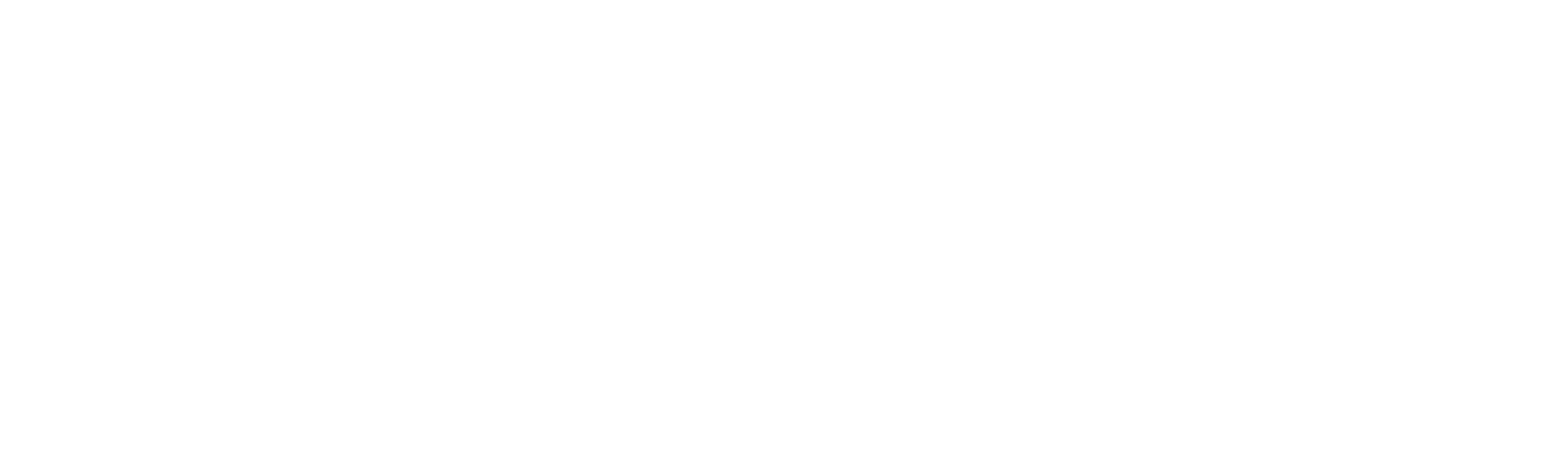 瑞克和莫蒂：日本动画