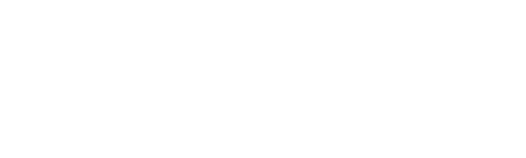 Chandra Levy: An American Murder Mystery