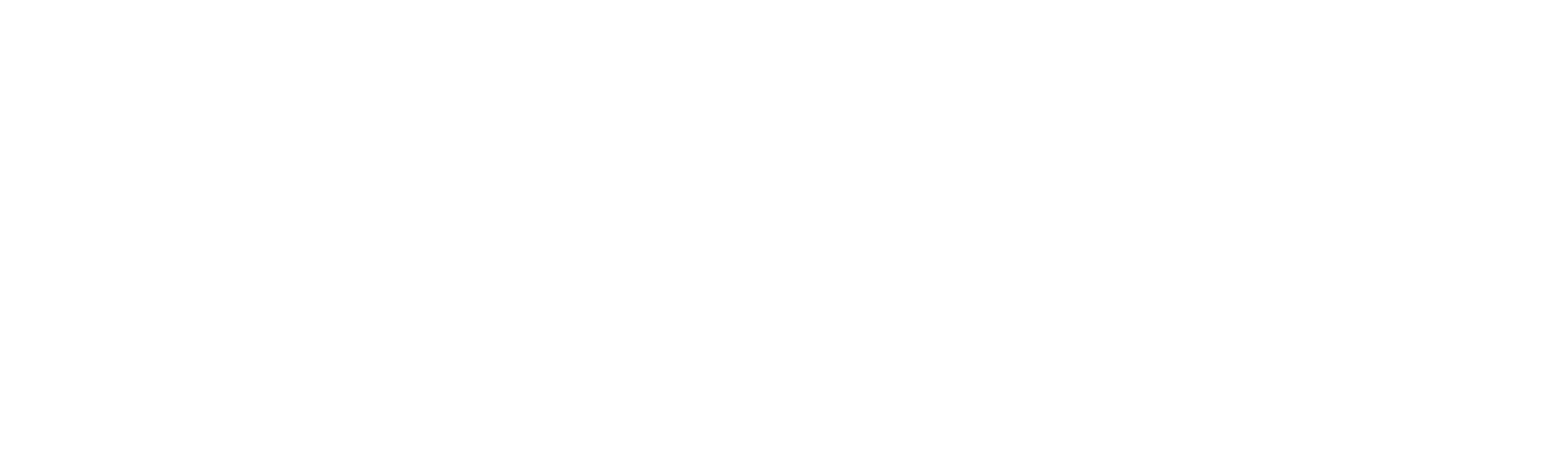 Chandra Levy: An American Murder Mystery