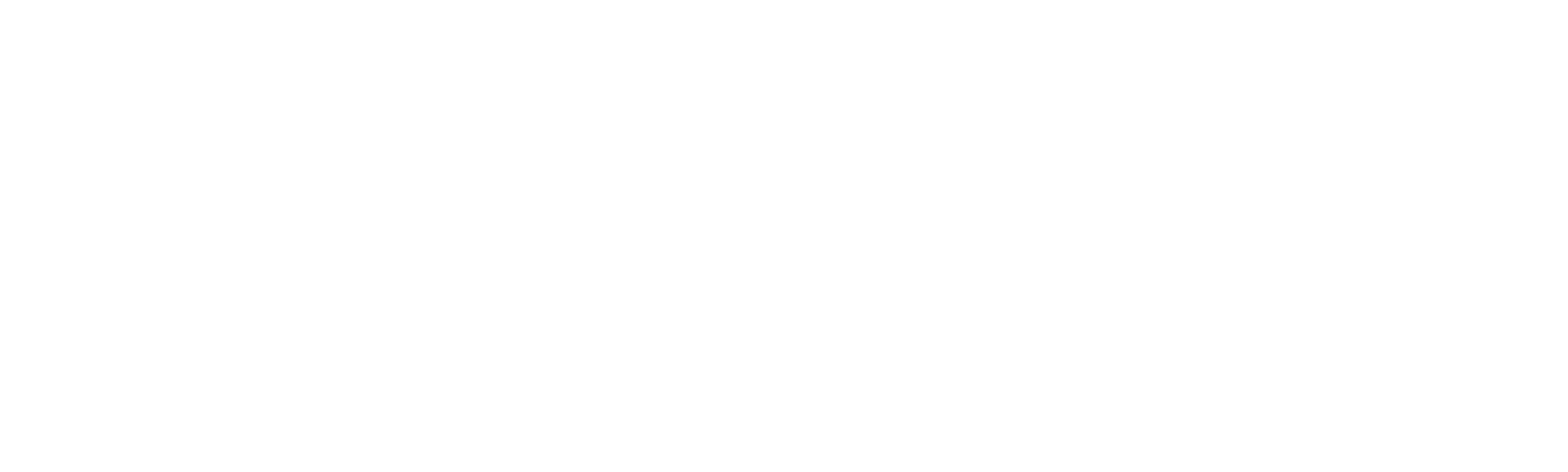 Fanget på politiets kamera - Sverige