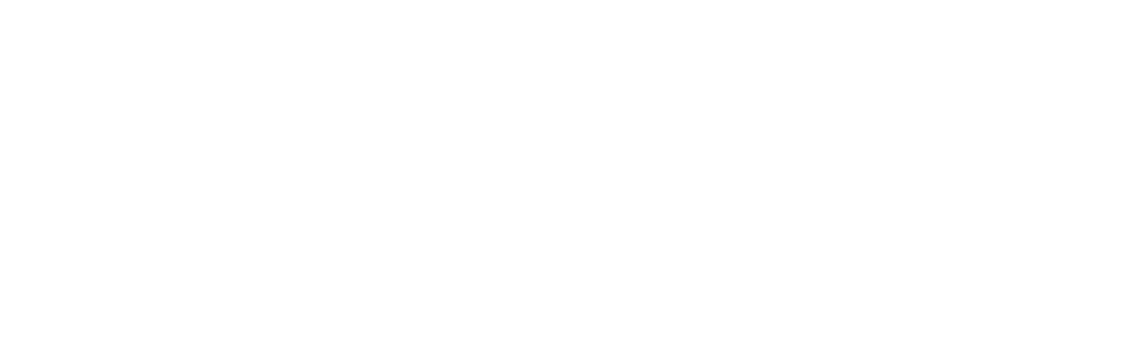 Fångat på polisens kamera