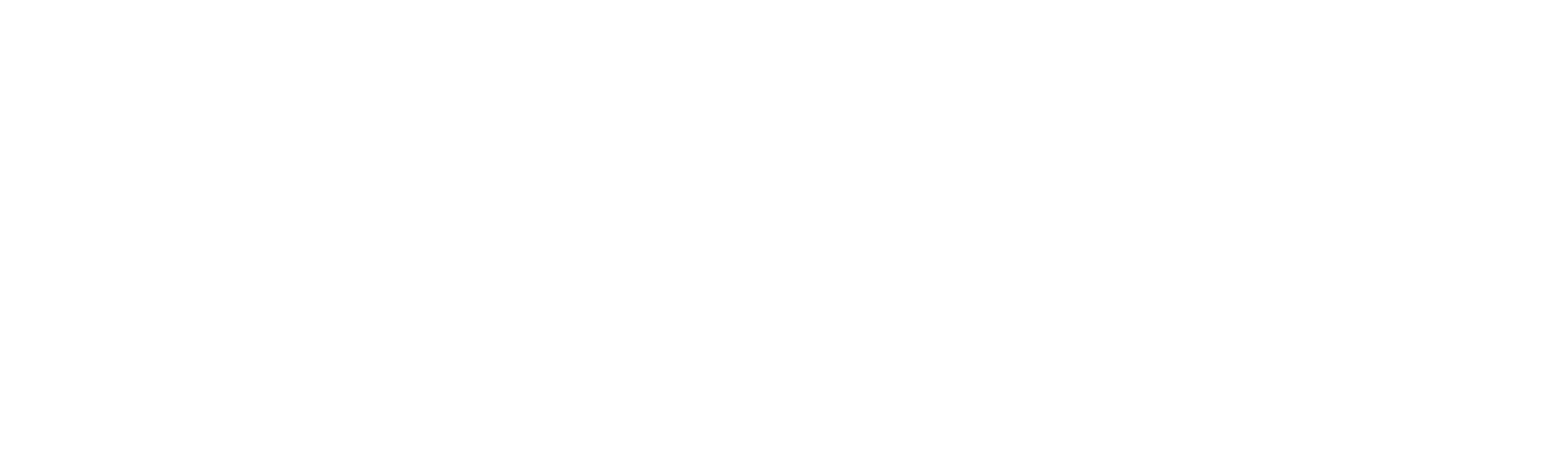 Fångat på polisens kamera