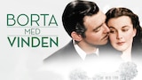 Borta med vinden
