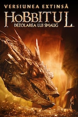 The Hobbit: The Desolation of Smaug (Extended Edition)