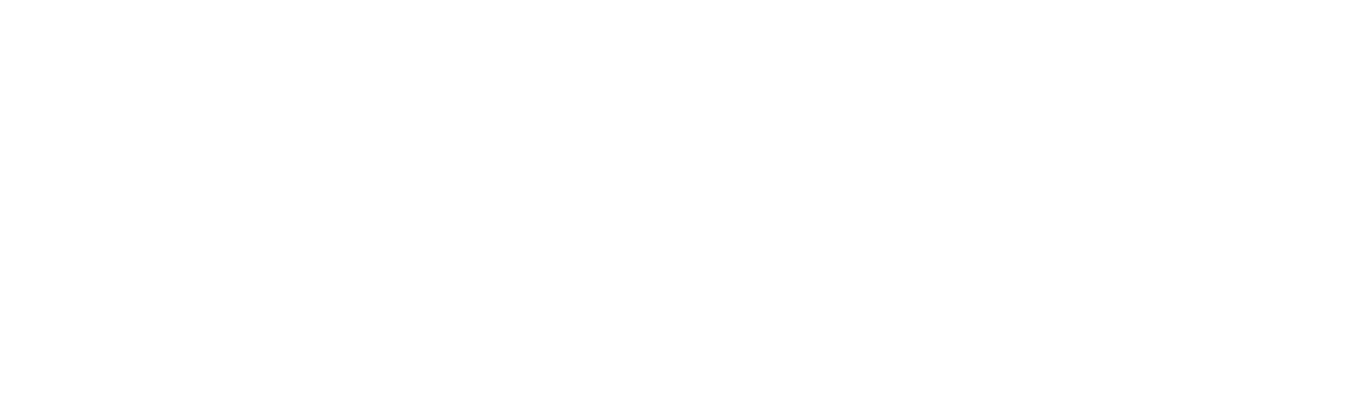 The Idaho College Murders