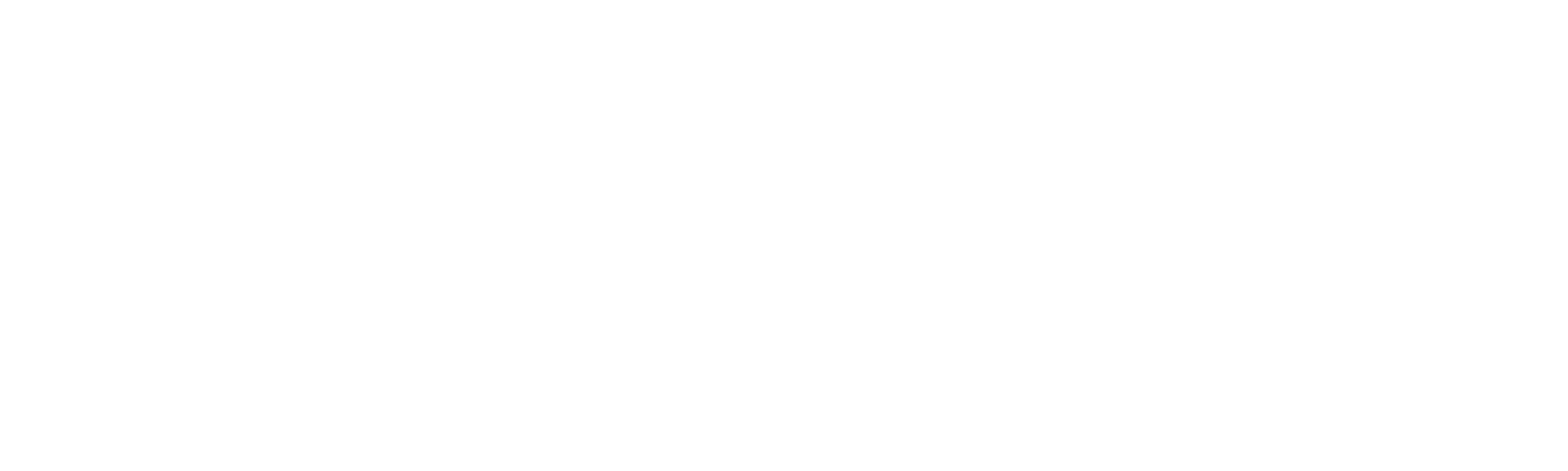 Nevidni človek
