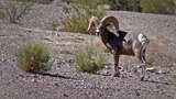 Caught on Camera