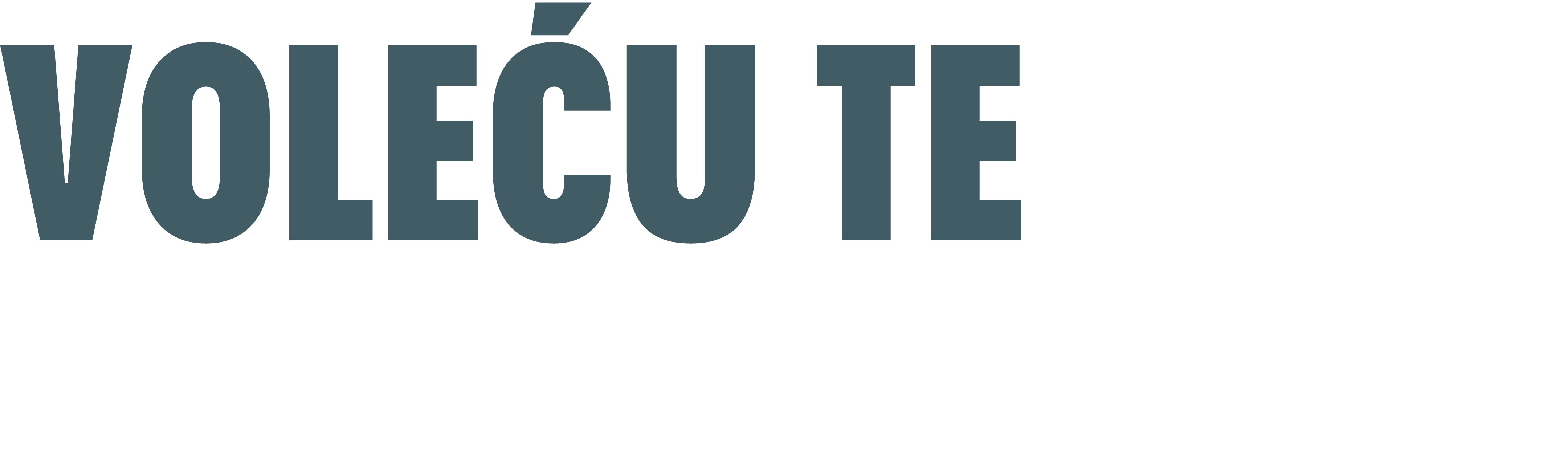 Voleću te zauvek