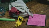 I Just Shot My Girlfriend