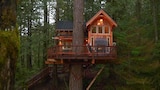 Apres Skihouse Treehouse