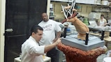 Punches, Psychics and Pastries