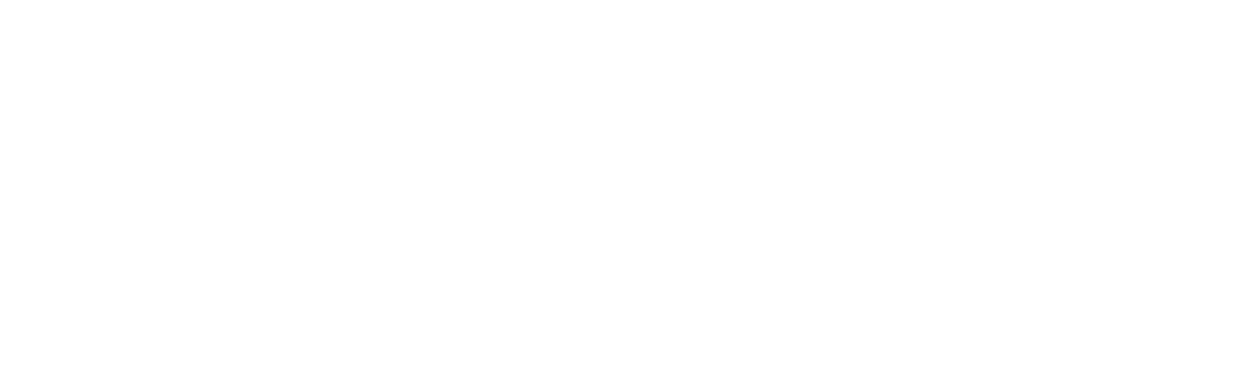 Vida de gemelas