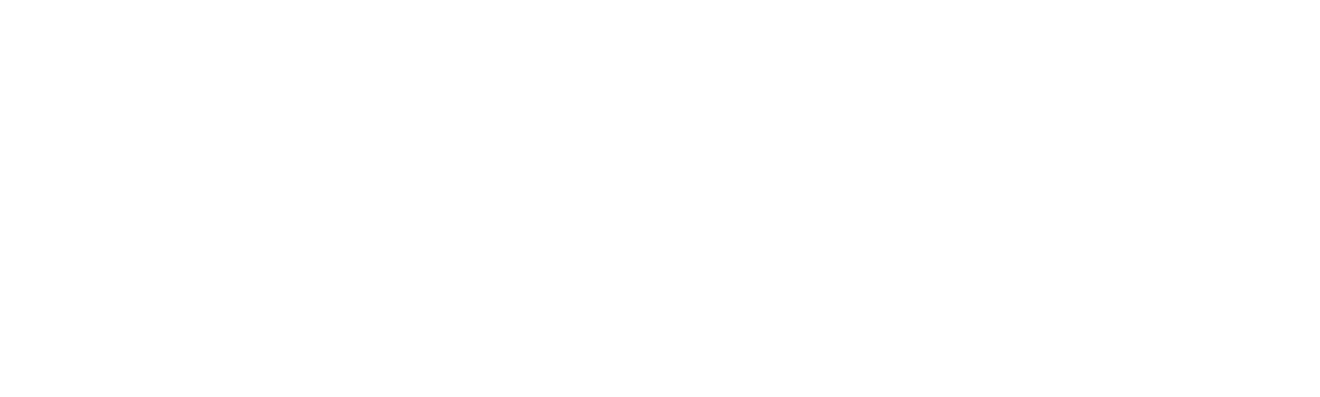 The Vanishing Soldier