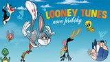 Looney Tunes: Nové příběhy
