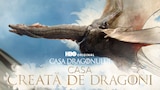 Casa Dragonului: Casa creată de dragoni