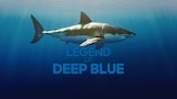Legend of Deep Blue