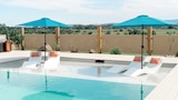 A Natural Pool Oasis for All Seasons
