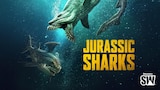 Jurassic Sharks