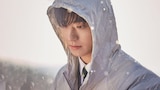 雨和妳的故事