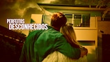 Perfeitos Desconhecidos