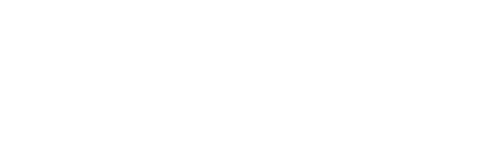 Premium Rush: Inside Air Cargo Singapore