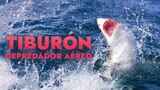 Tiburón: Depredador aéreo