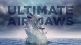 Ultimate Air Jaws