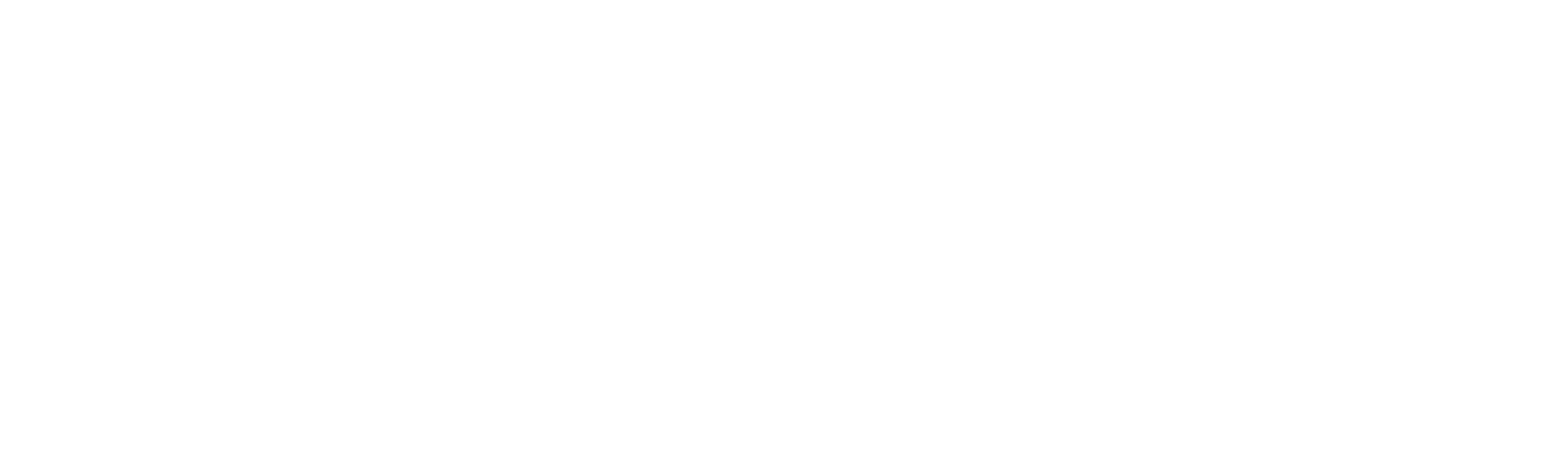 Homegrown: The Counter-Terror Dilemma