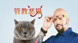 管教恶猫