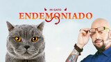 Mi gato endemoniado