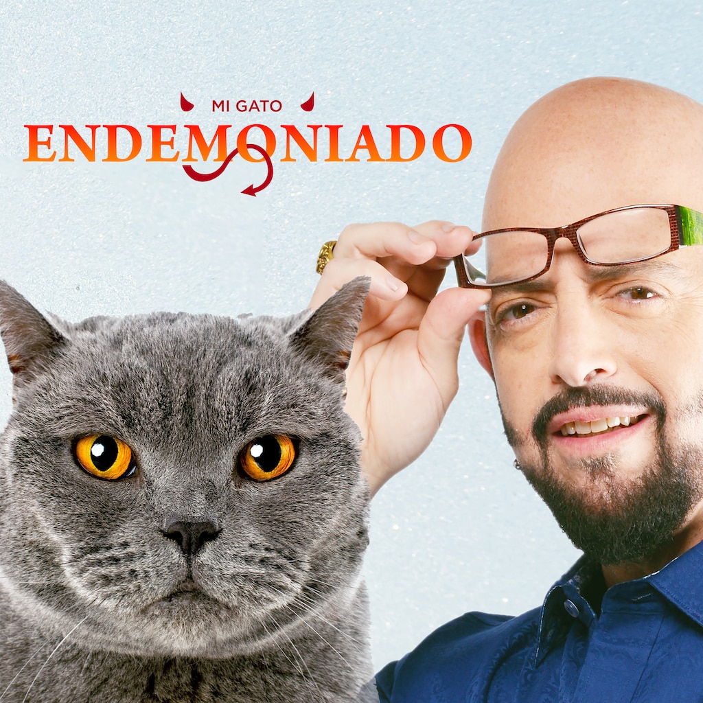 Mi gato endemoniado