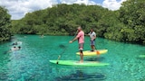 Aventuras en la Riviera Maya