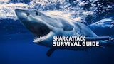 Shark Attack Survival Guide