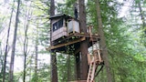 Nelson Family Treehouse