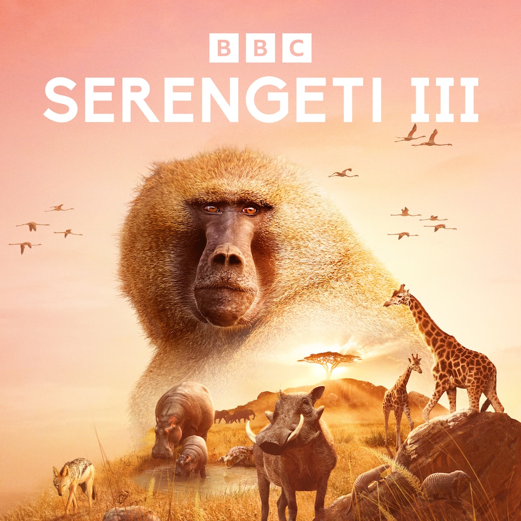 Serengeti III