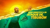 Cómo sobrevivir a un ataque de tiburón