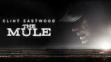 The Mule