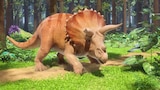 The Triceratops Mess
