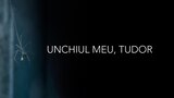 Unchiul meu, Tudor