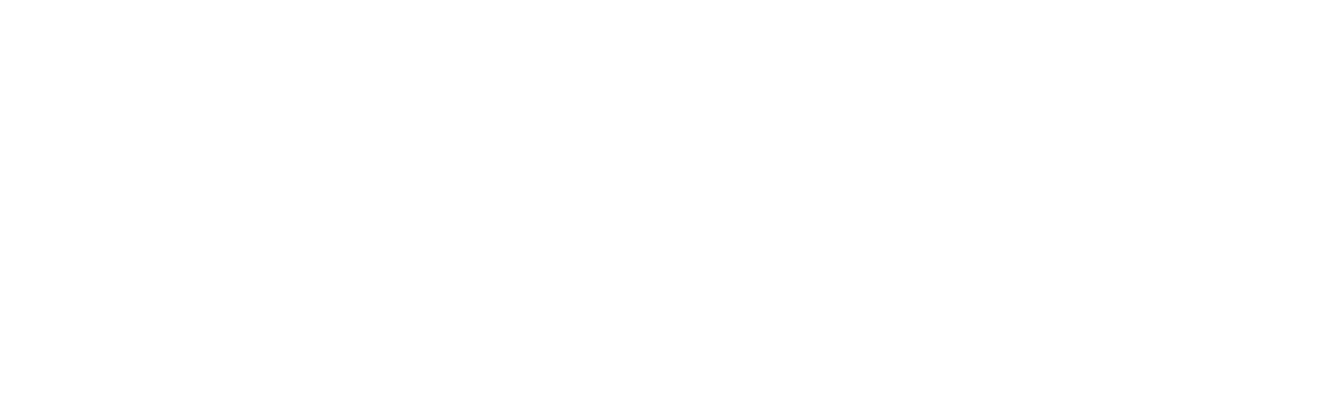 Kubo and the Two Strings