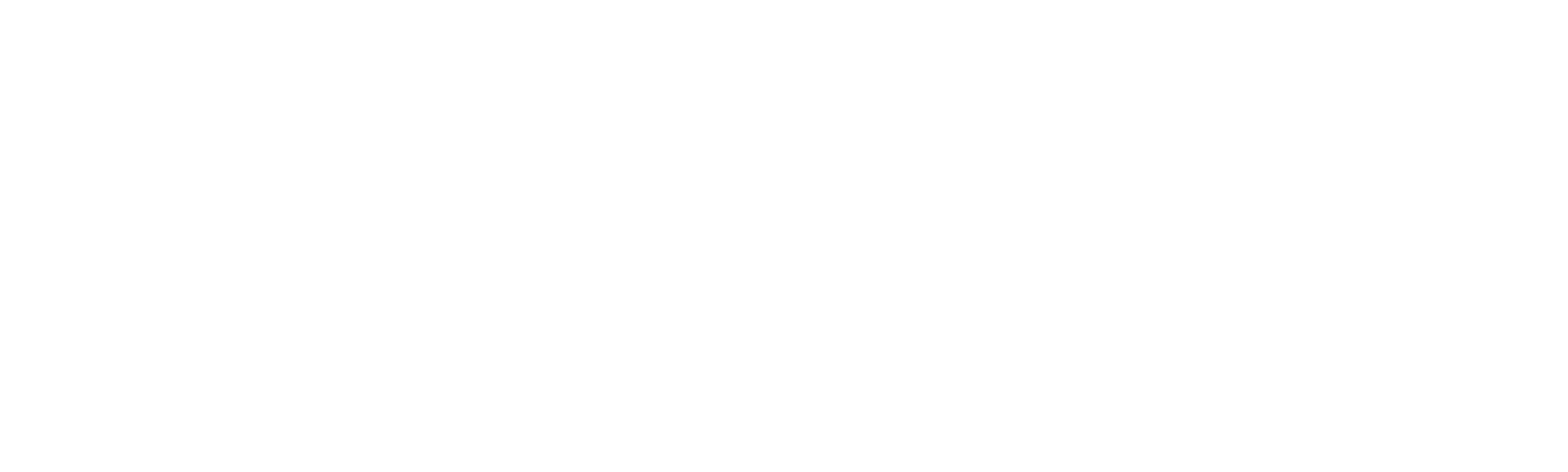 The Lost Husband