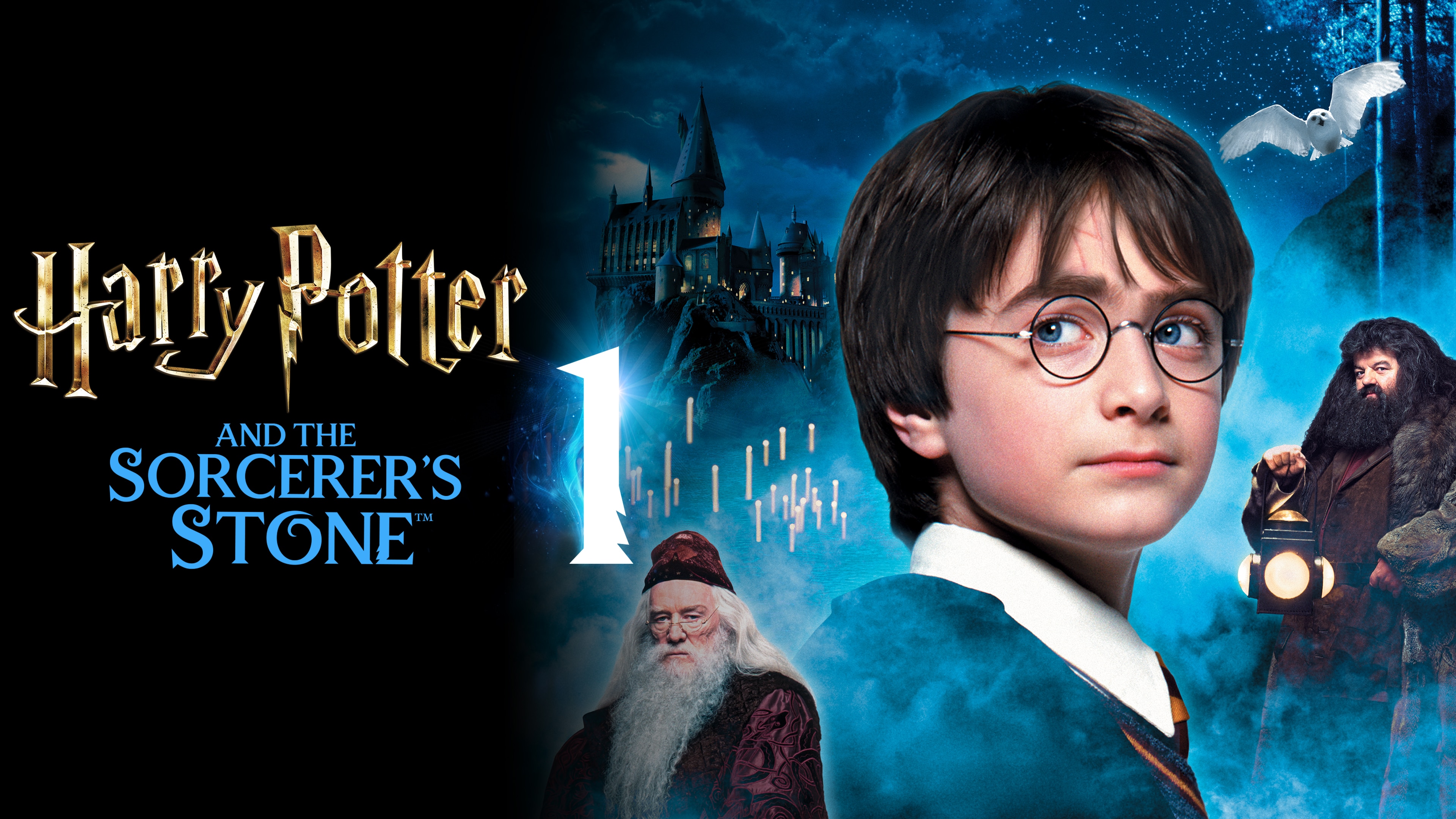 Watch Harry Potter and the Sorcerer s Stone Max