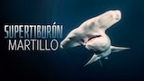 Supertiburón martillo