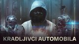 Kradljivci automobila