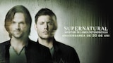 Supernatural: Aventuri în lumea întunericului
