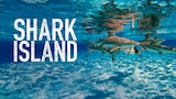 SW 2015: Shark Island